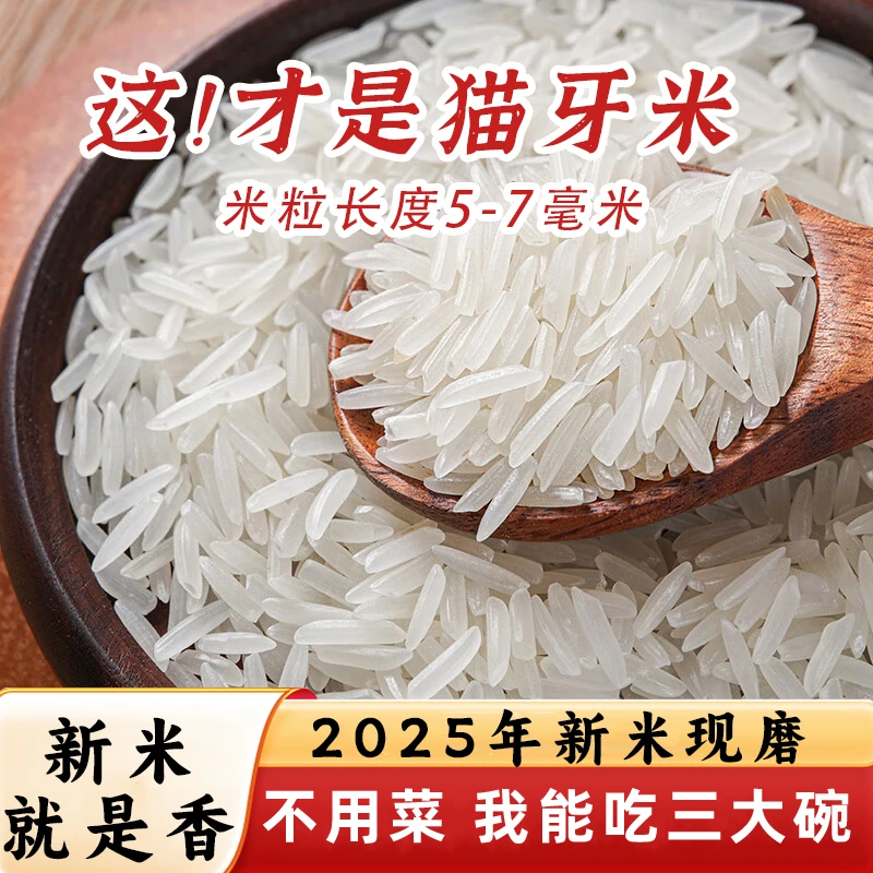 猫牙米10斤5斤2025新大米籼米梯田香米正宗长粒香米家庭装5kg一袋