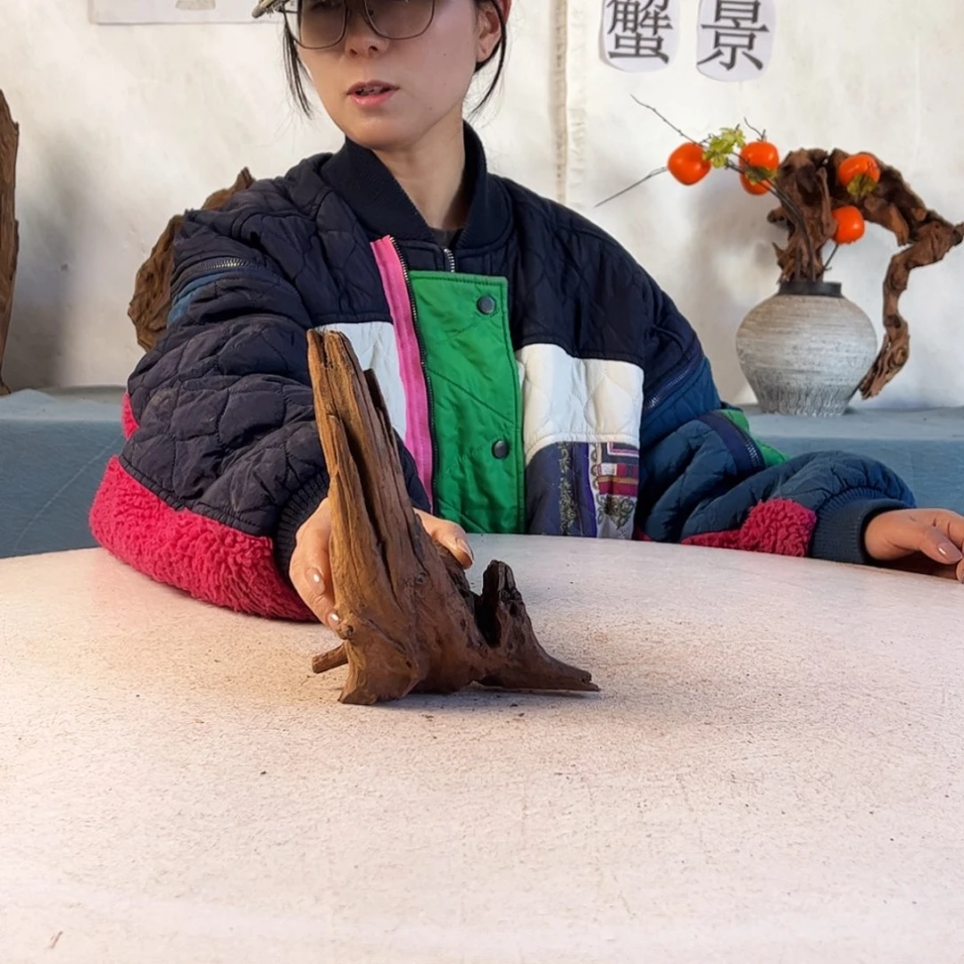 沉木造景寄居蟹造景