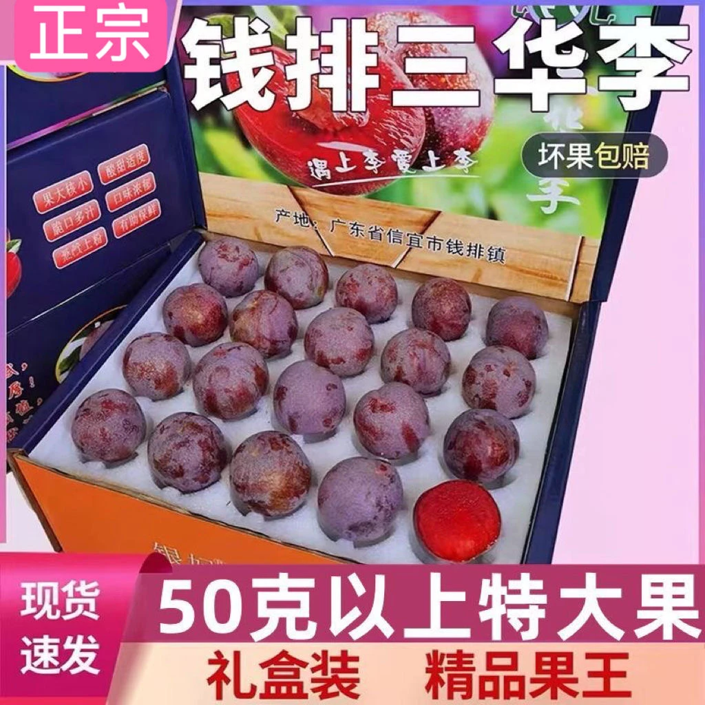 广东茂名钱排三华李新鲜应季红心李子酸甜孕妇水果酸脆甜礼品果王