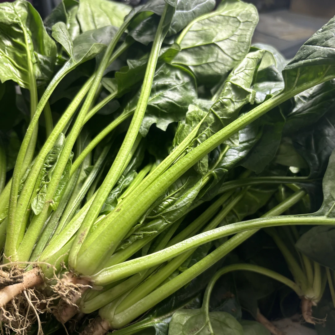 露天打霜小菠菜 口感清甜 2斤3斤包邮