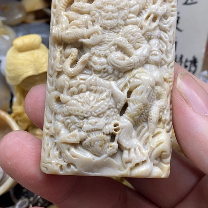 硅化珊瑚（珊瑚玉）未镶嵌颈饰