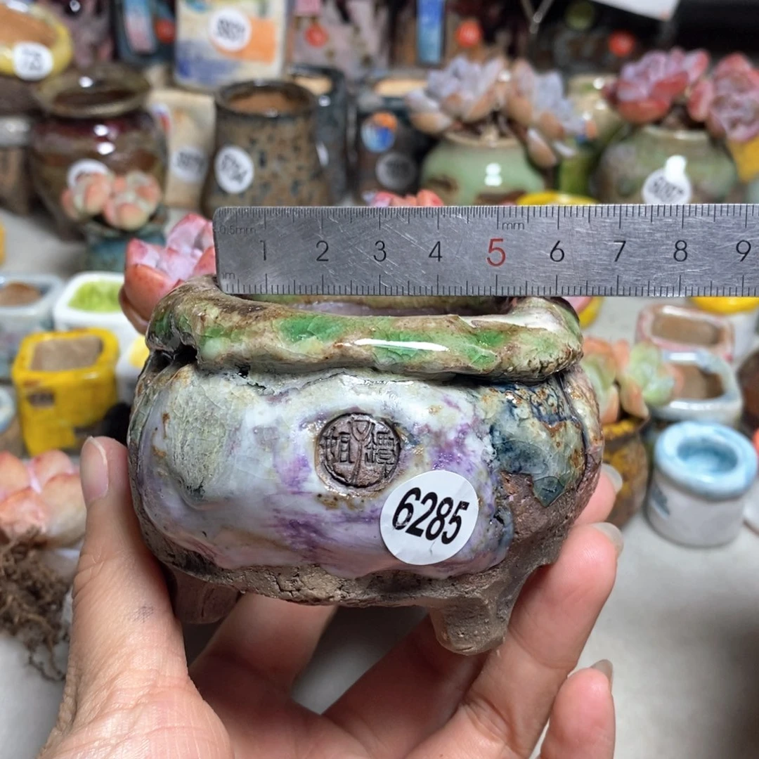 拍3送一个小礼物不含多肉