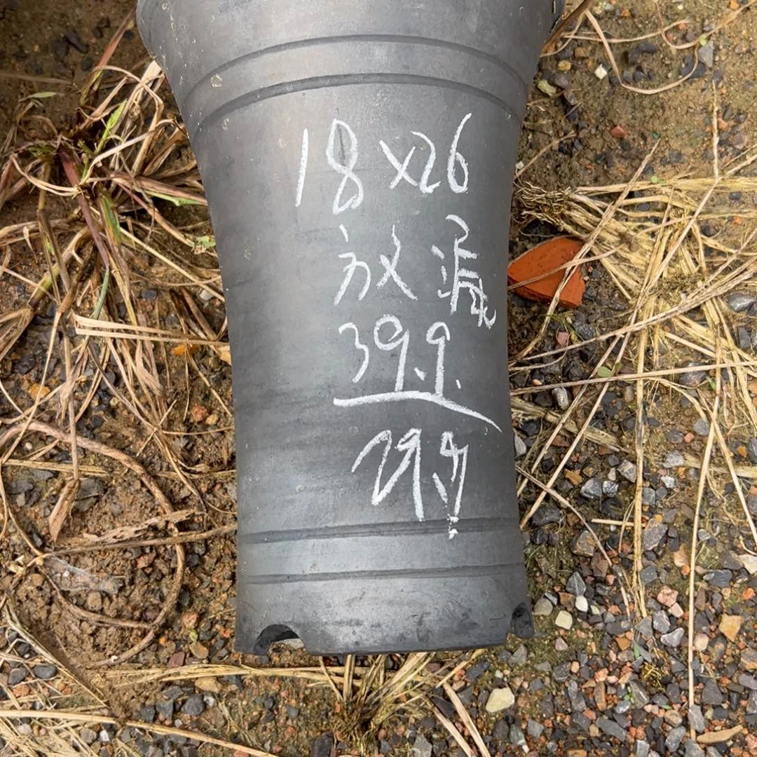 放漏直筒口径18高度26