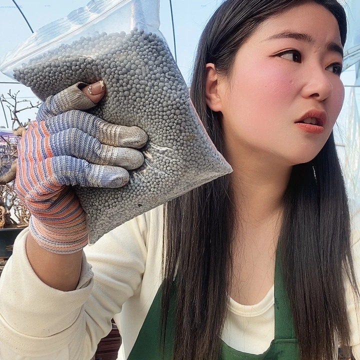 原生肥料种植基地种植