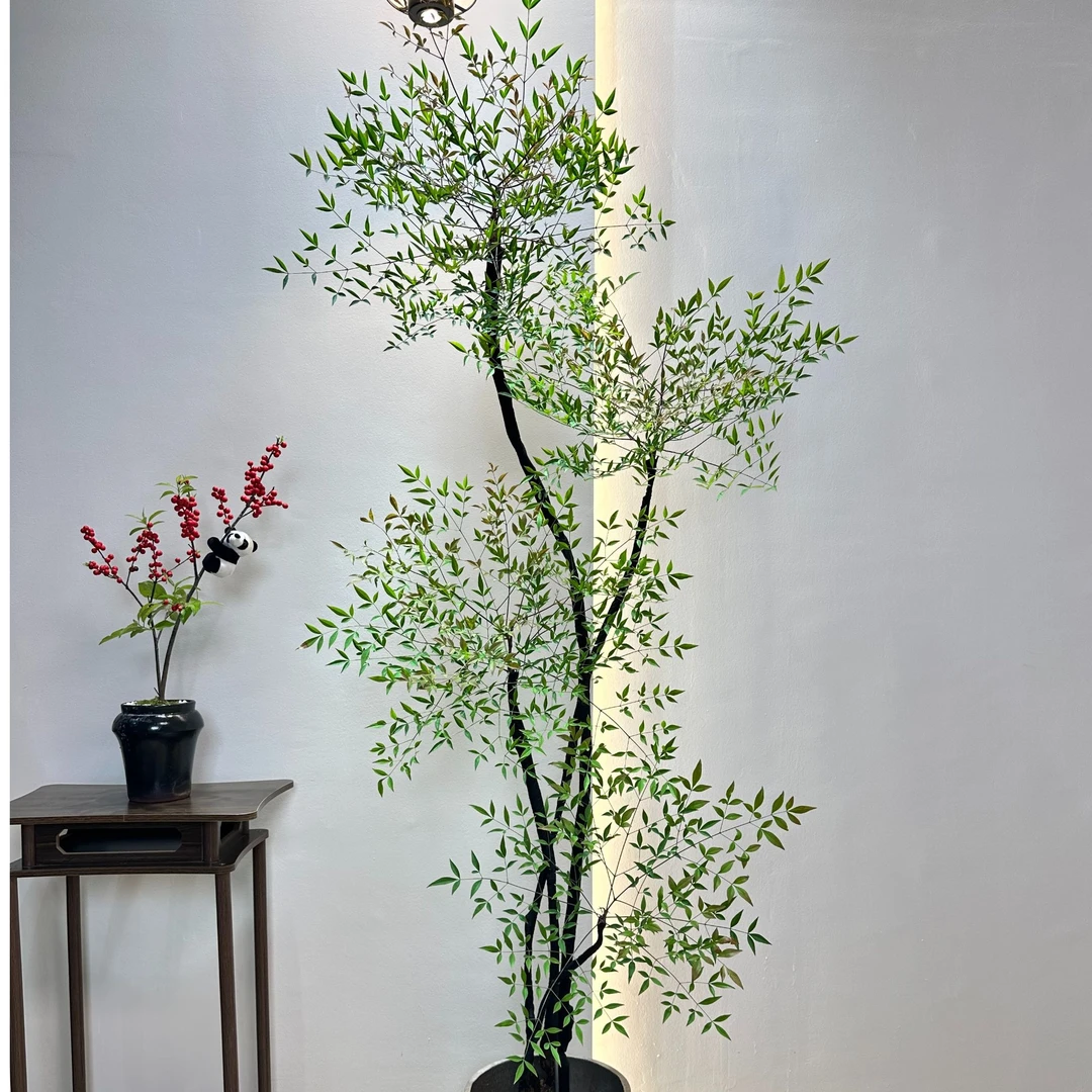 南天竹造型款禅意风大型植物真树室内绿植