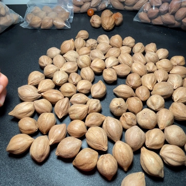铁***蛋猪牙手串/手链我是