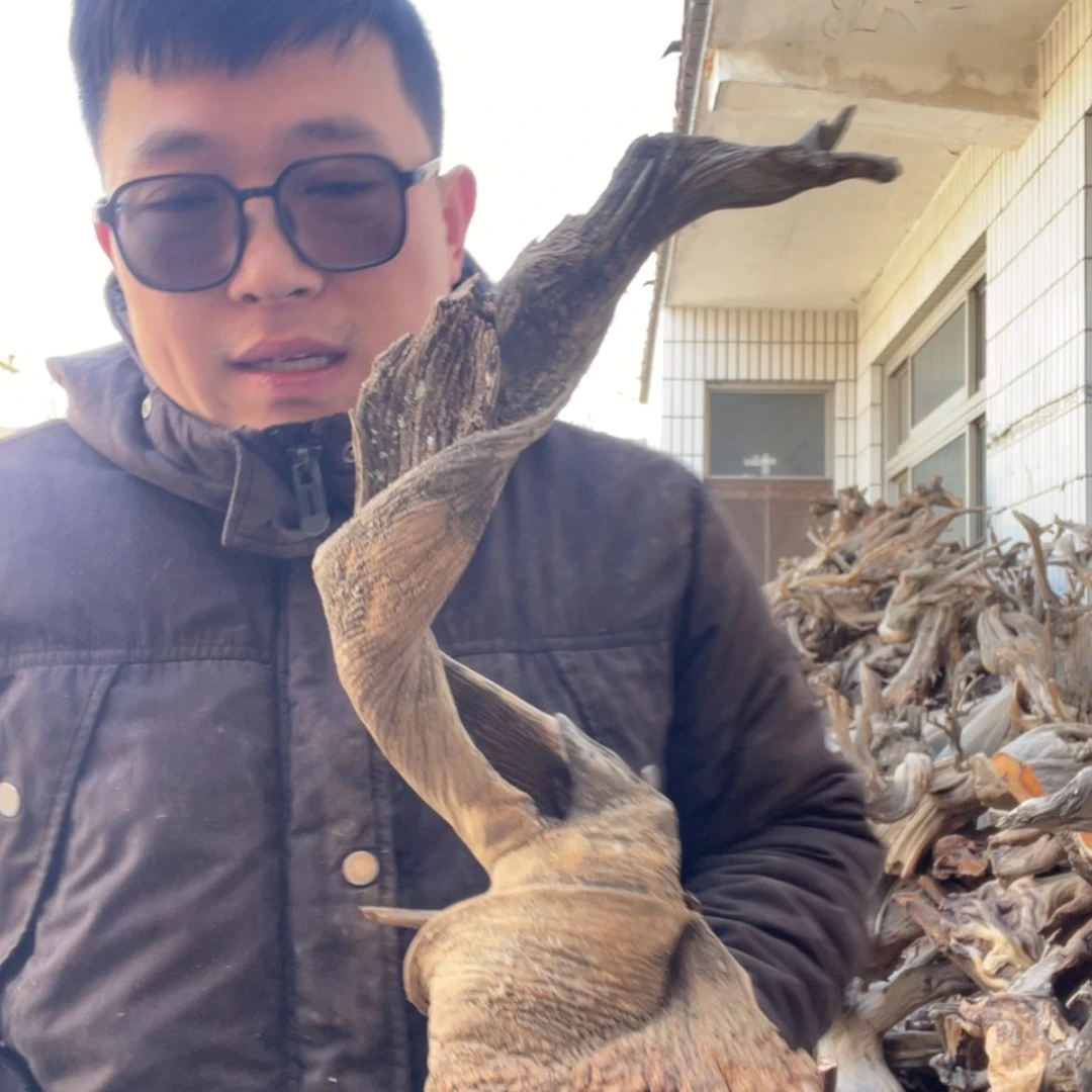 【闪购商品】柏木志*啦咯啦咯啦咯啦咯