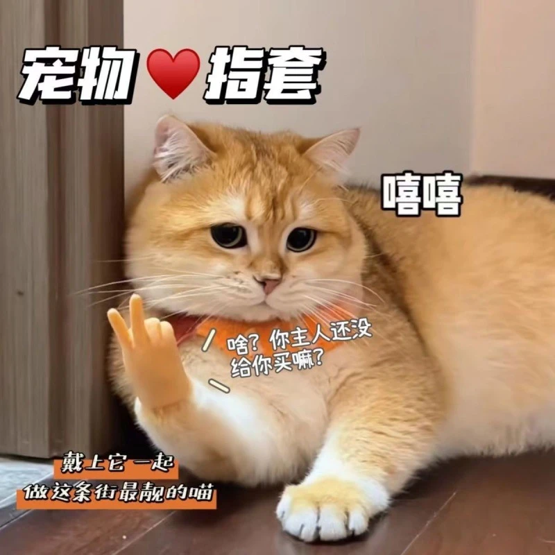 迷你逗猫棒猫咪玩具猫咪手指套撸猫神器高弹力创意逗猫手指套