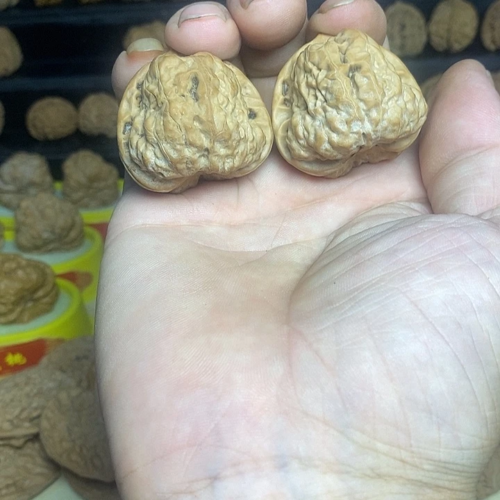 冯***沛大叶紫檀（黑酸枝木类）
