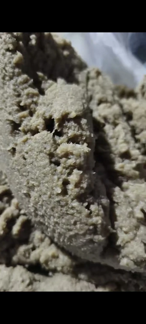 灌南虾籽新鲜虾籽潮河虾子