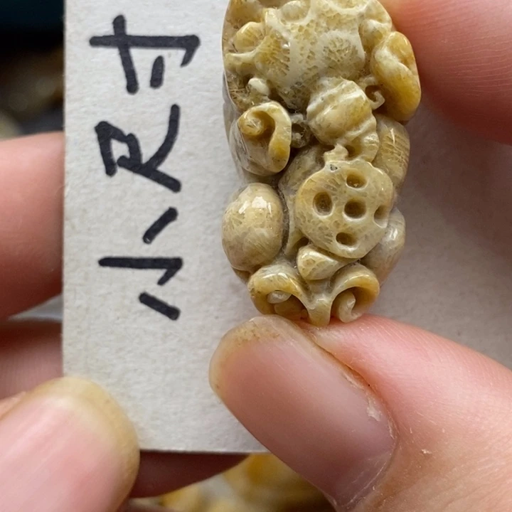 硅化珊瑚（珊瑚玉）未镶嵌颈饰