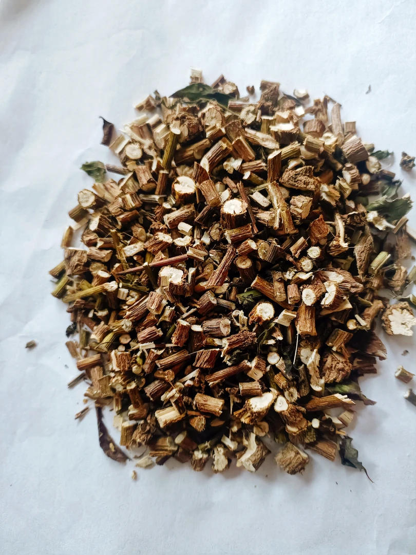 肺草冬虫夏草知黄