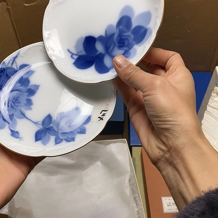 瓷片X117 雅舍甄选优质大漂亮