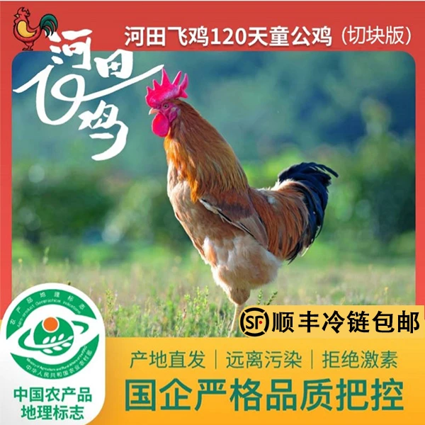 龙岩河田飞鸡正宗土鸡农家散养切块公鸡700g生鲜公鸡山林土鸡