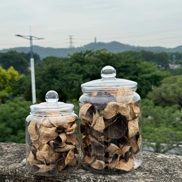 【八年陈】2017年天马圈枝大红皮