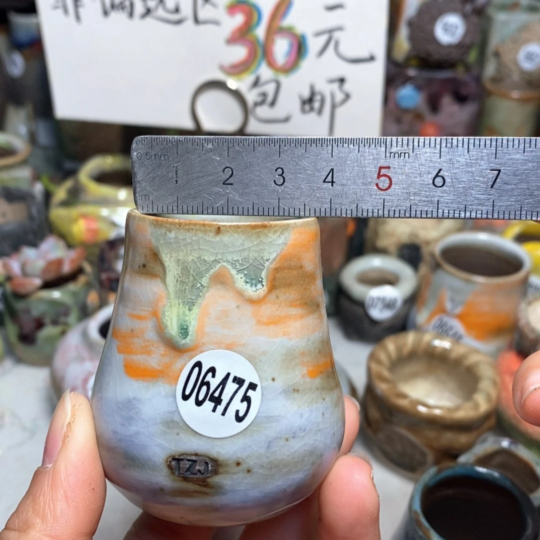 花盆拍5送一个小礼物