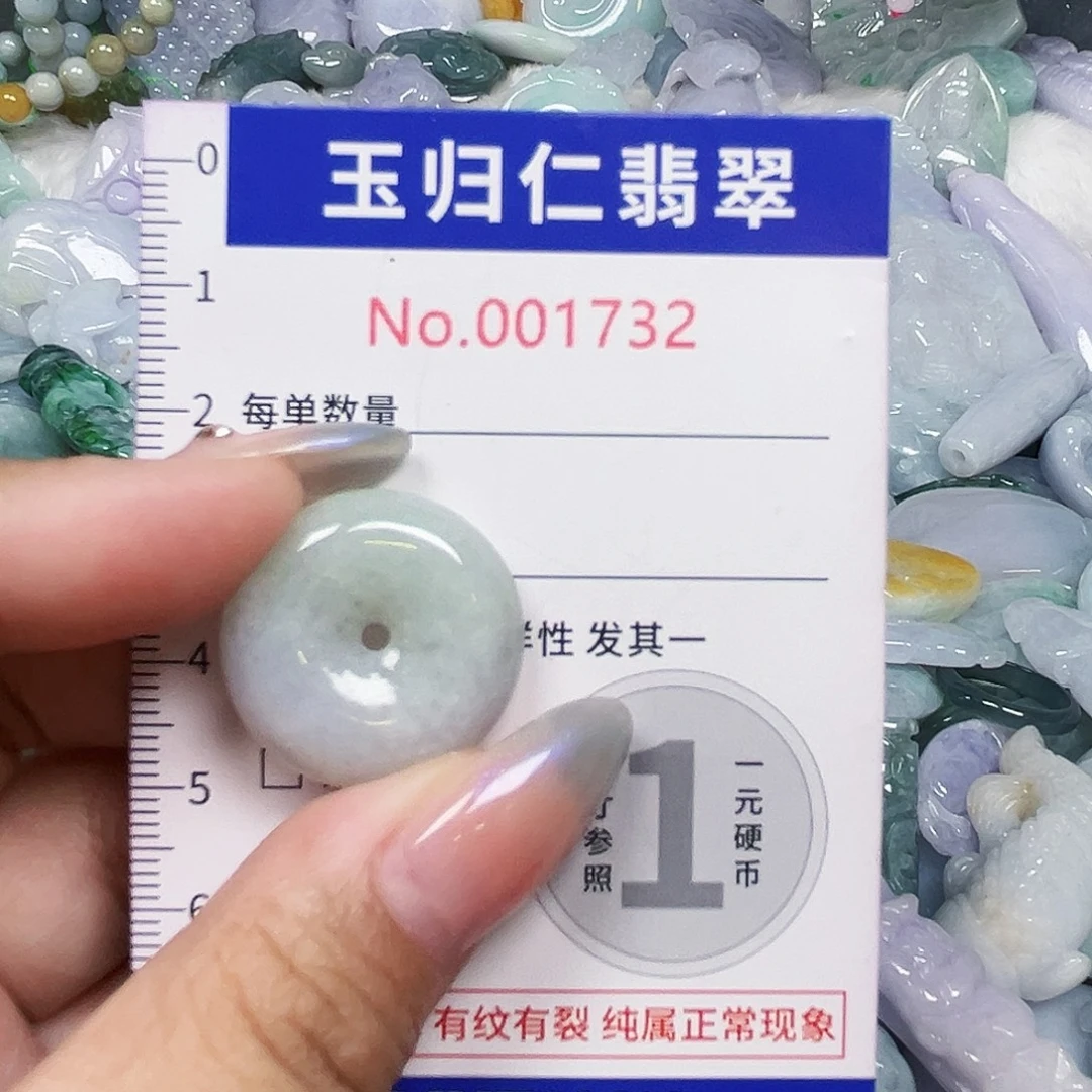翡翠未镶嵌吊坠(不含链)Wqqq