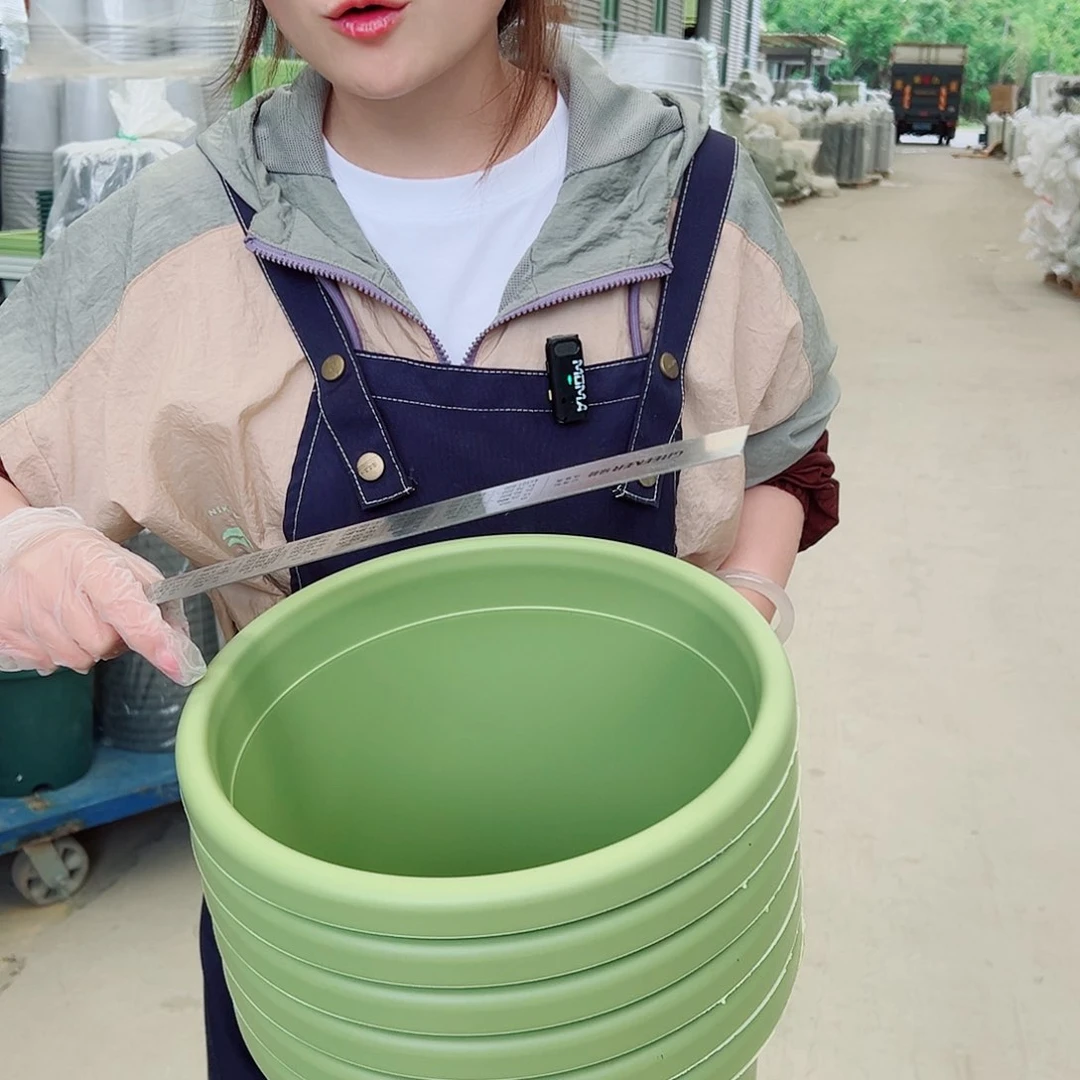 四季盆5#果绿色6个无托