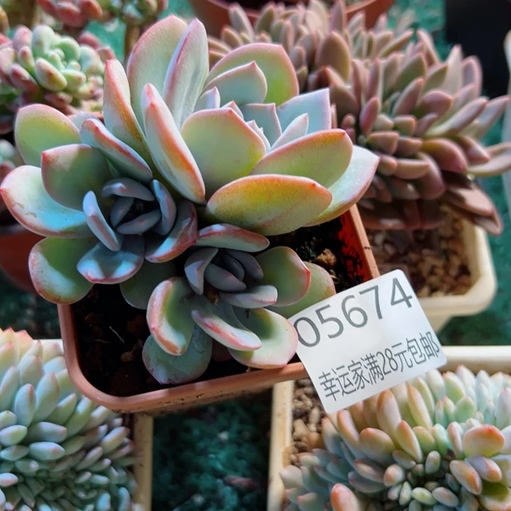 幸运的是我还没遇到过