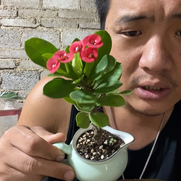 完全开放退款拉黑一物一拍177