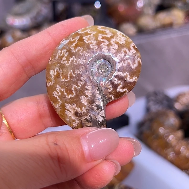 石材好看的螺摆件