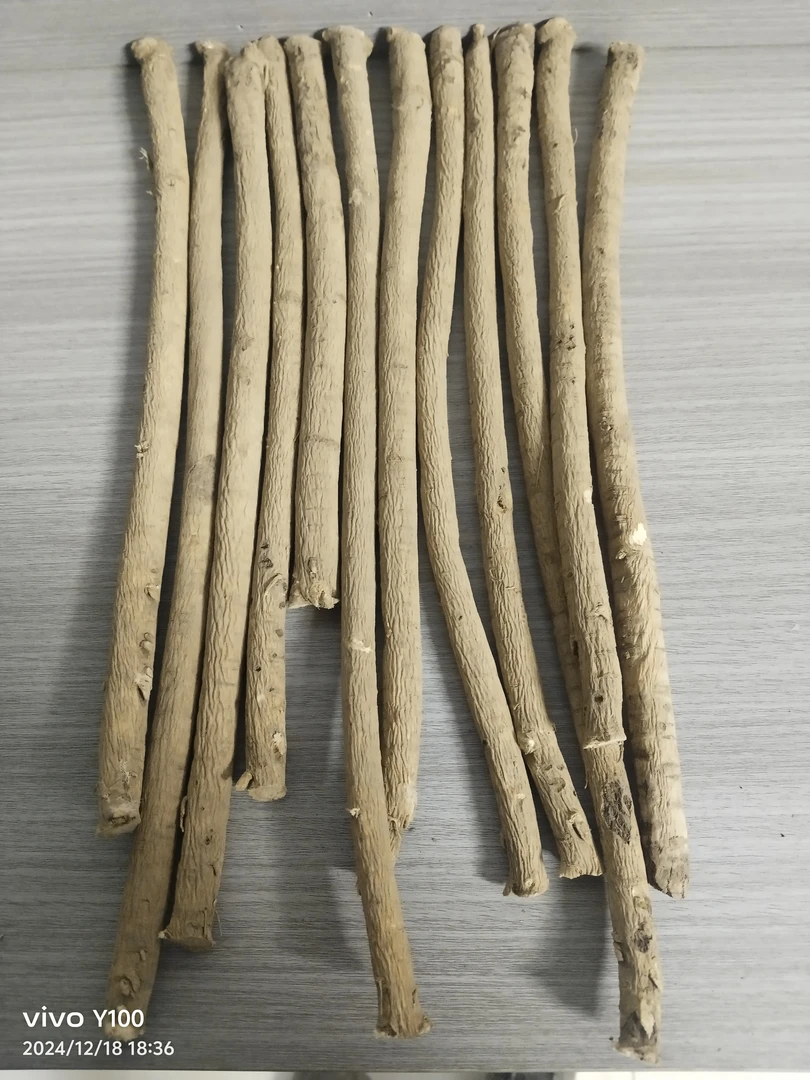 甘肃岷县黄芪直发