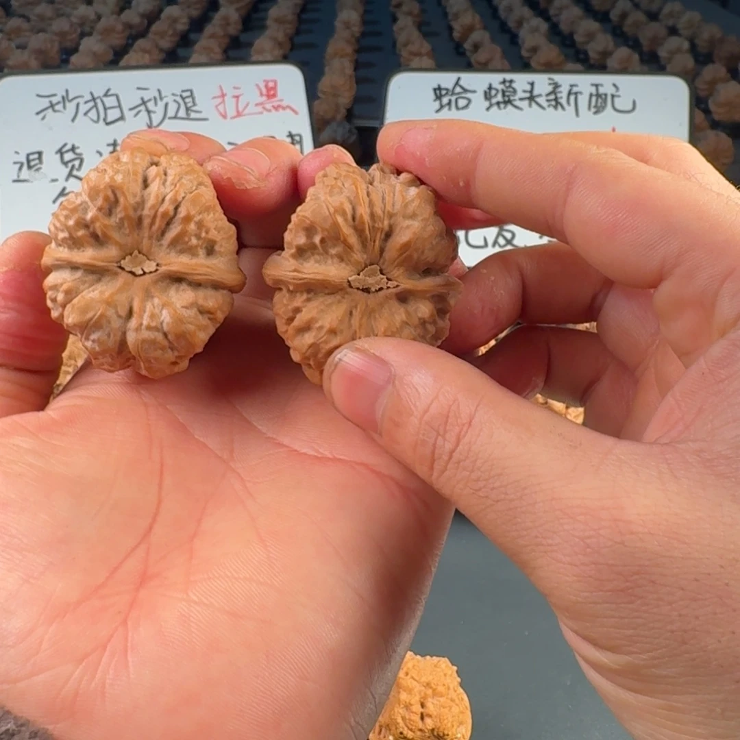 鲨***发吊坠文玩核桃蛤蟆的眼睛是真的好看啊我的