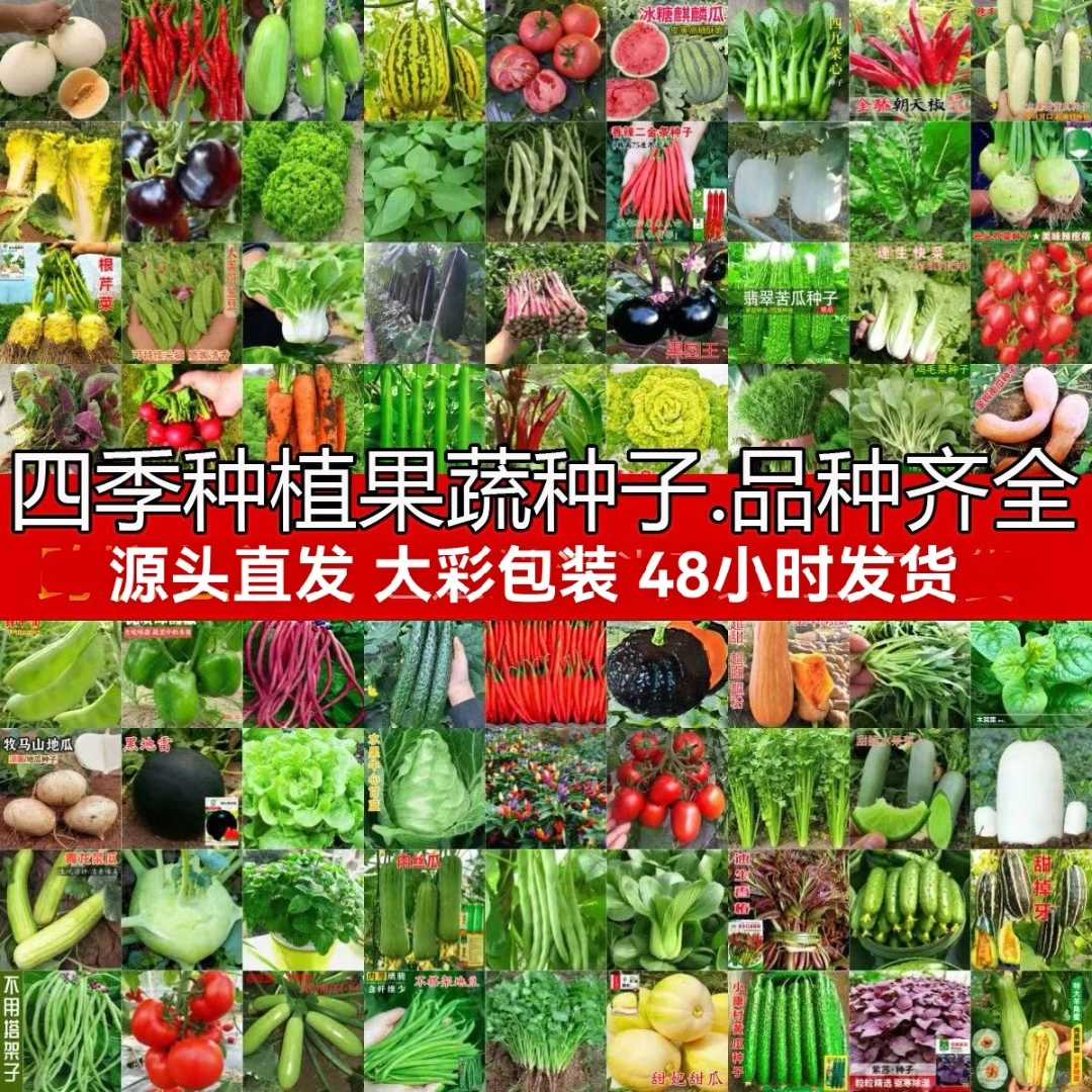 【全店满5包包邮】四季蔬菜种子大全