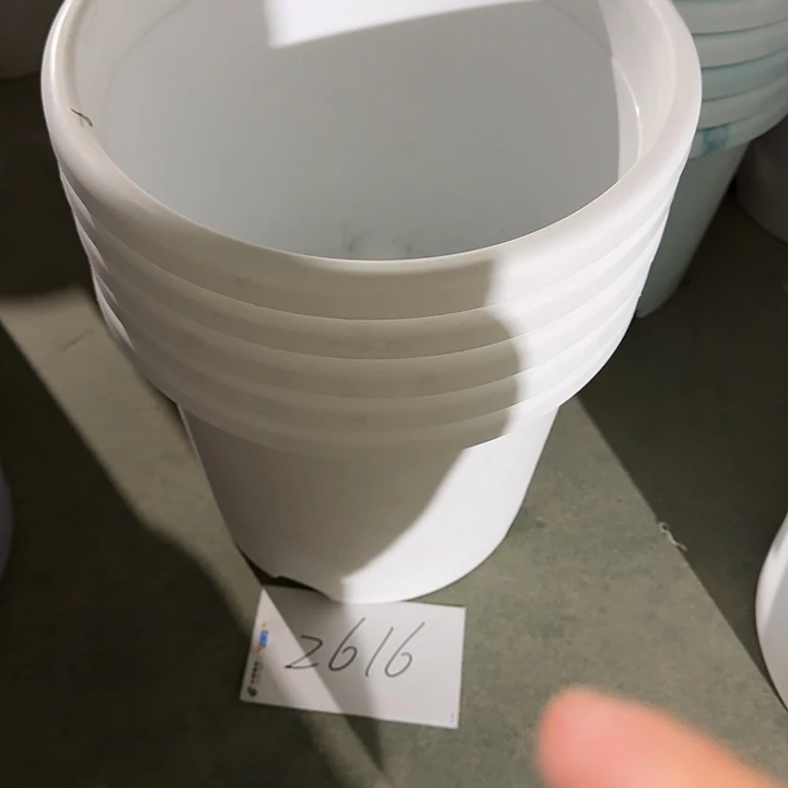 编号编号编号2616