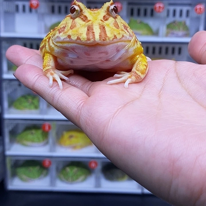 特价秒杀特价活动