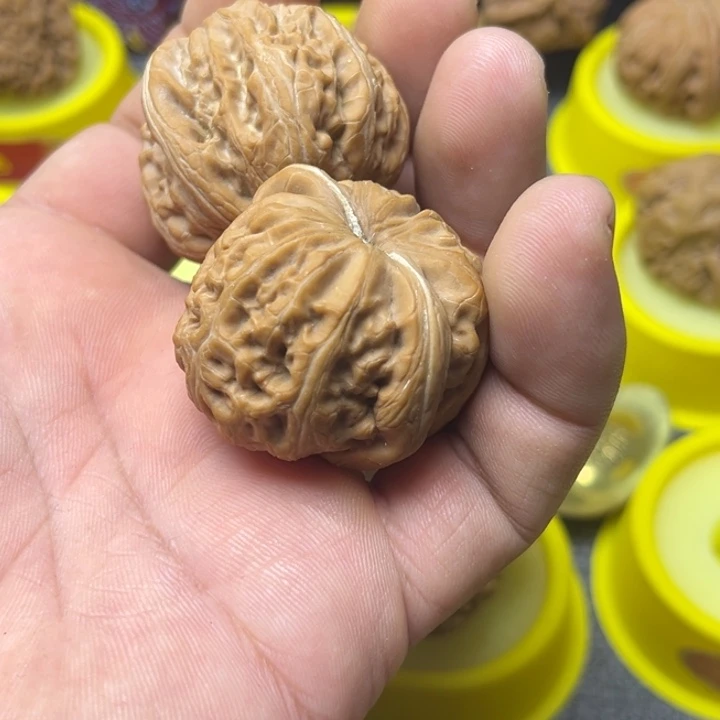 江***屿大叶紫檀（黑酸枝木类）