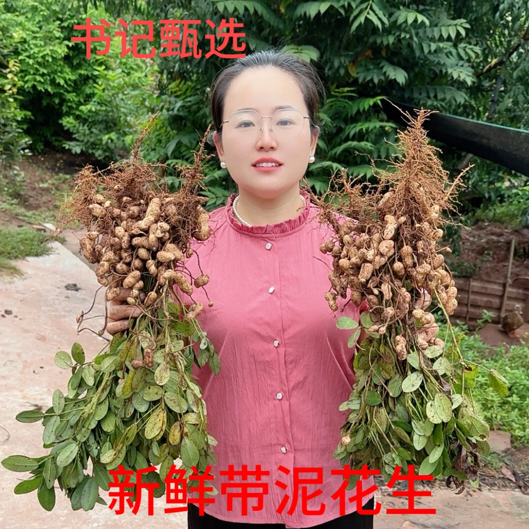 【助农专属】新鲜现挖带壳带泥湿花生农家自种可水煮凉拌当季花生