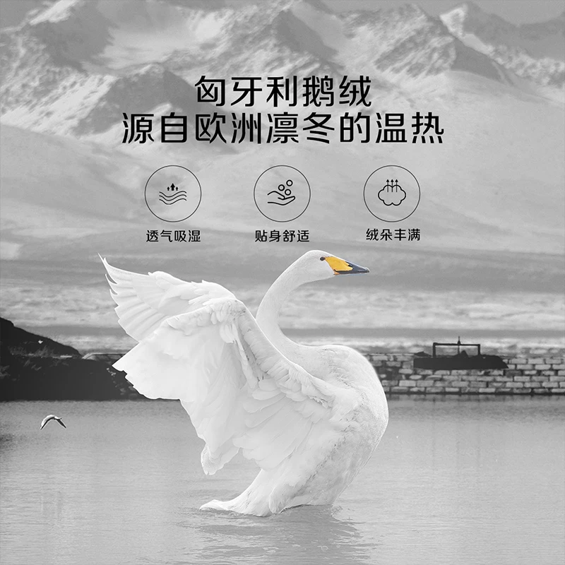 水星集团百丽丝家纺高端保暖羽绒被四季被冬被加厚被床上用品严选