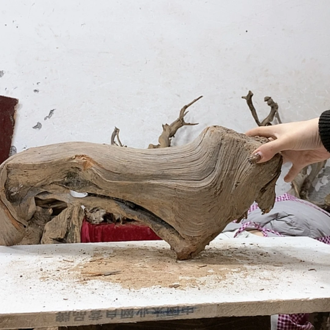 【闪购商品】柏木忆*我们都是好孩子