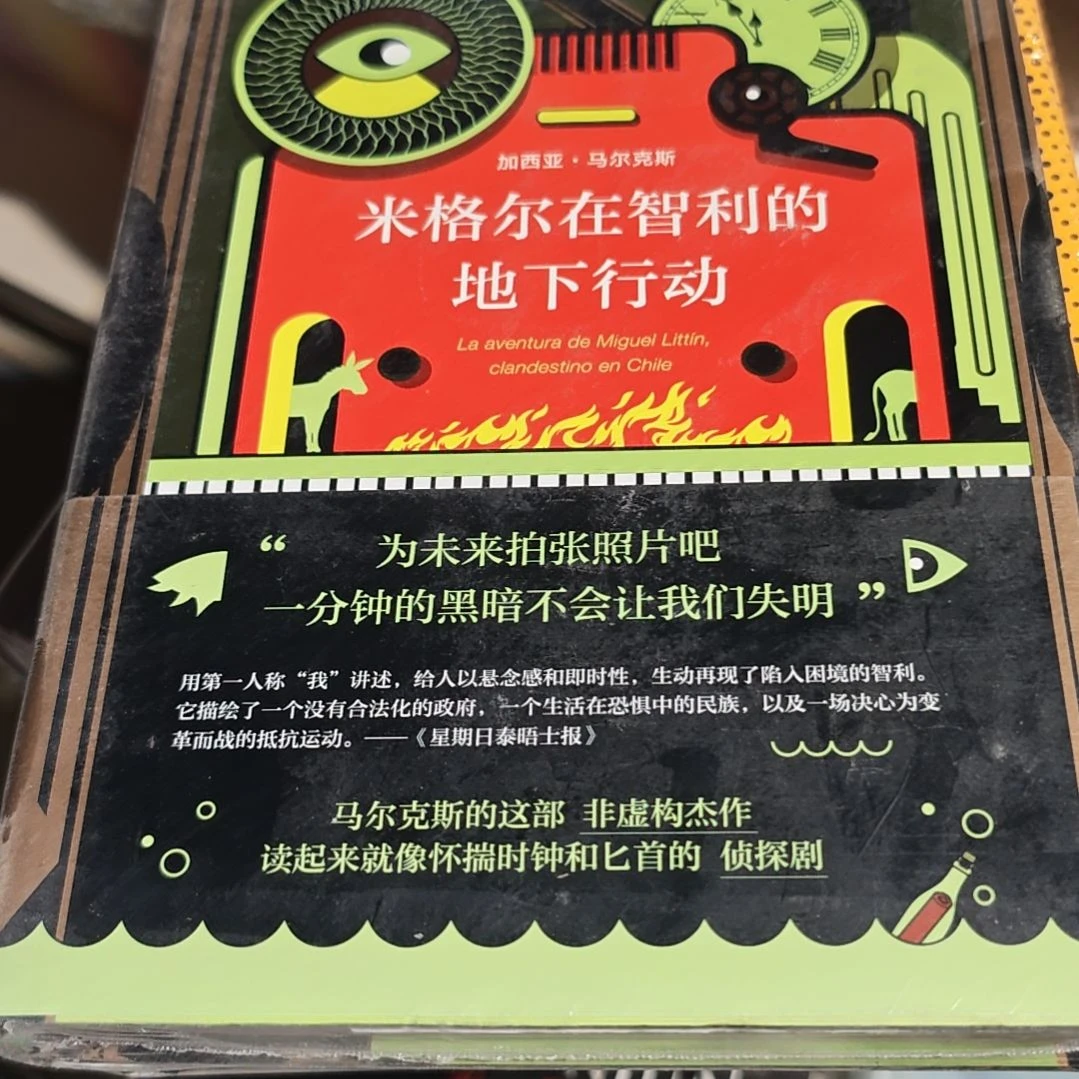 米格尔在智利的地下行动精装