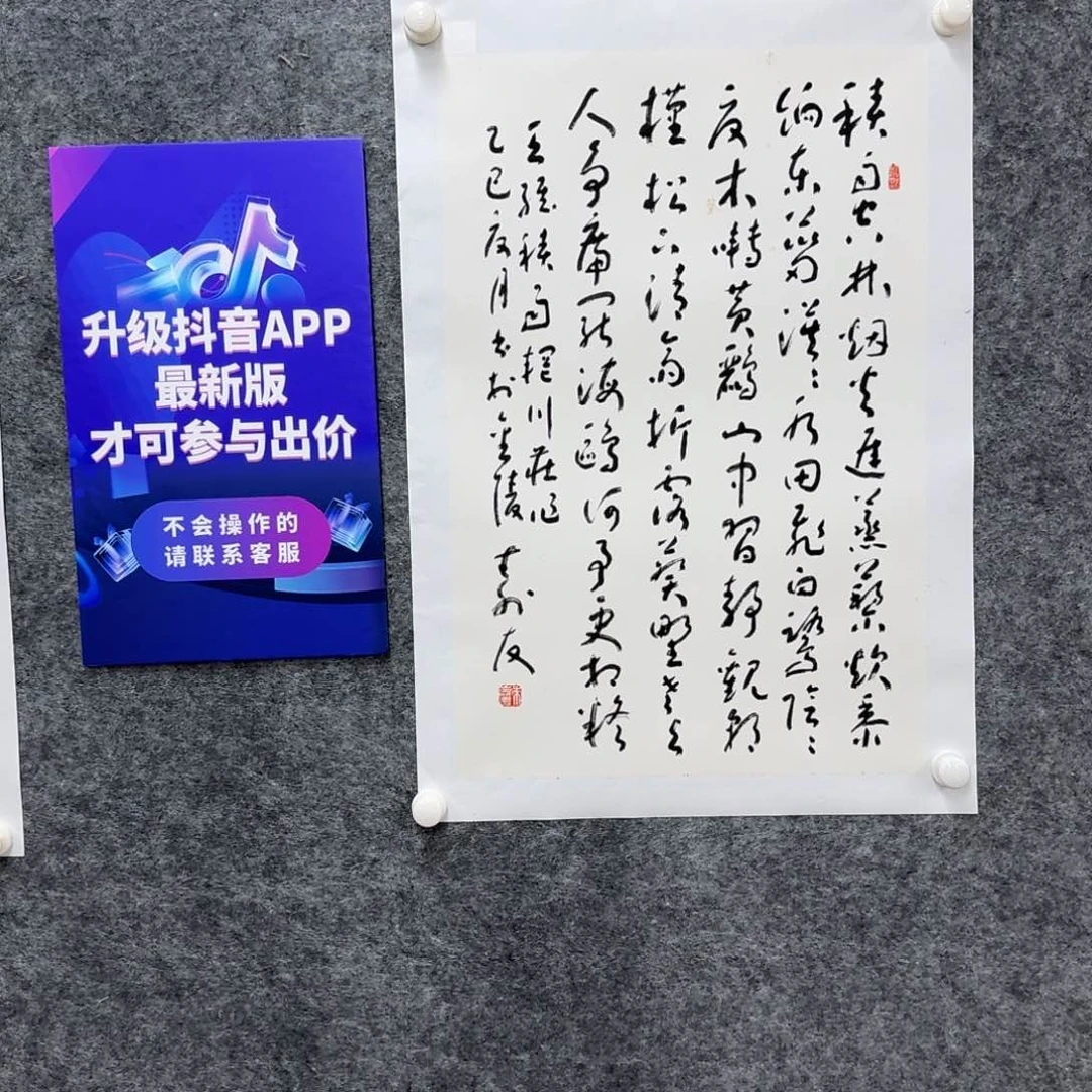 书法书法作品ZSY老师