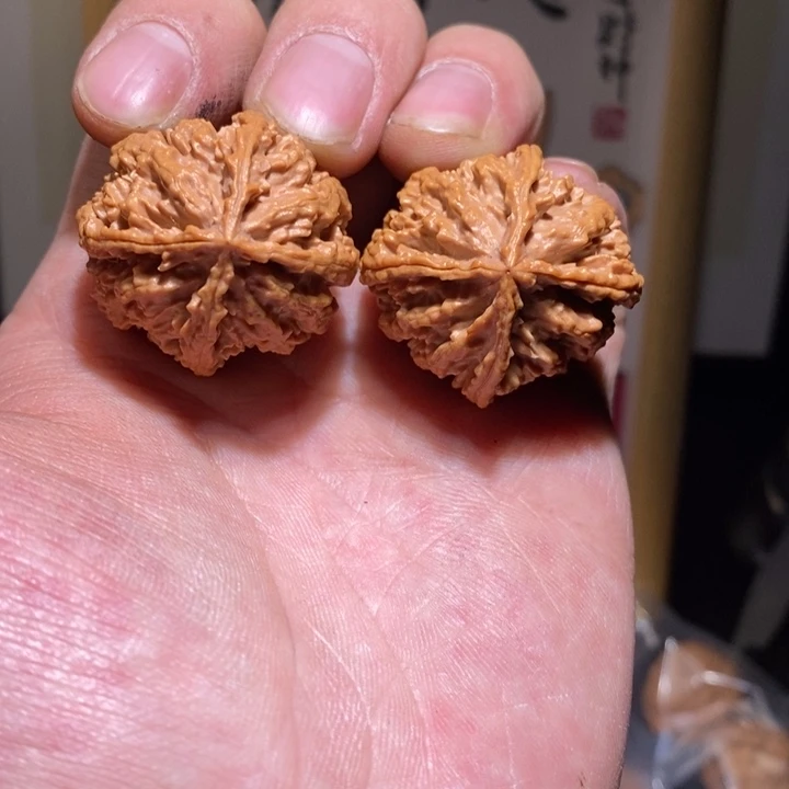 文玩核桃把件28一物一图