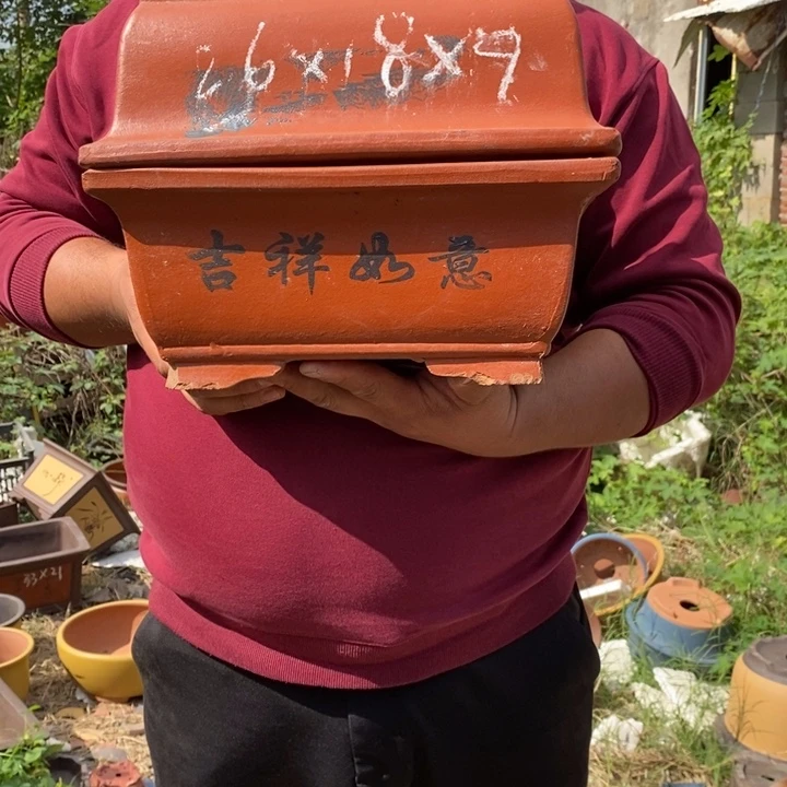 紫砂花盆没有什么不可以的事情没有