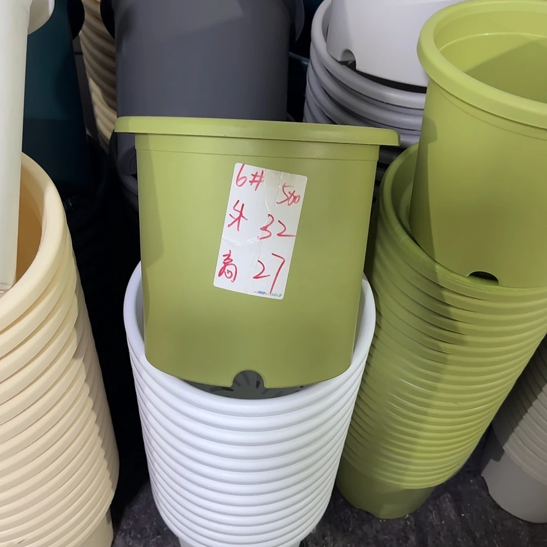 微瑕6号10个无托，果绿