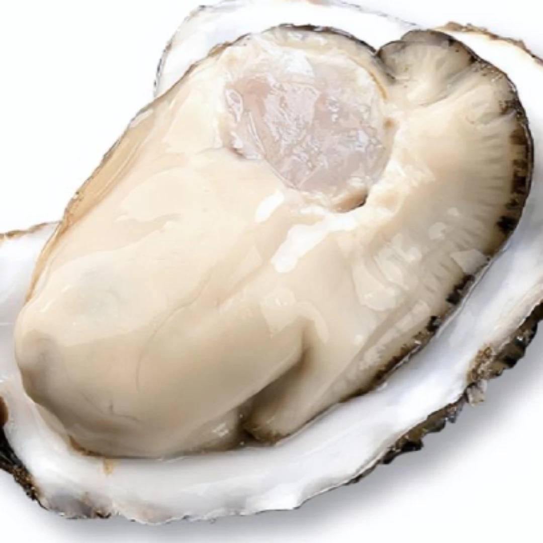 乳山生蚝5斤6只左右（8两左右一只）