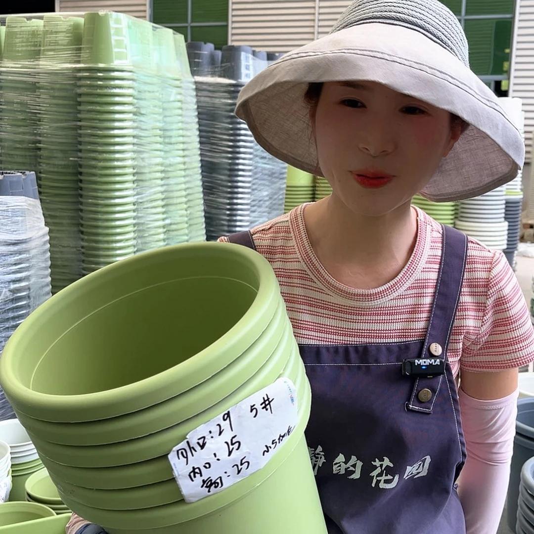 四季盆5#果绿色6个无托