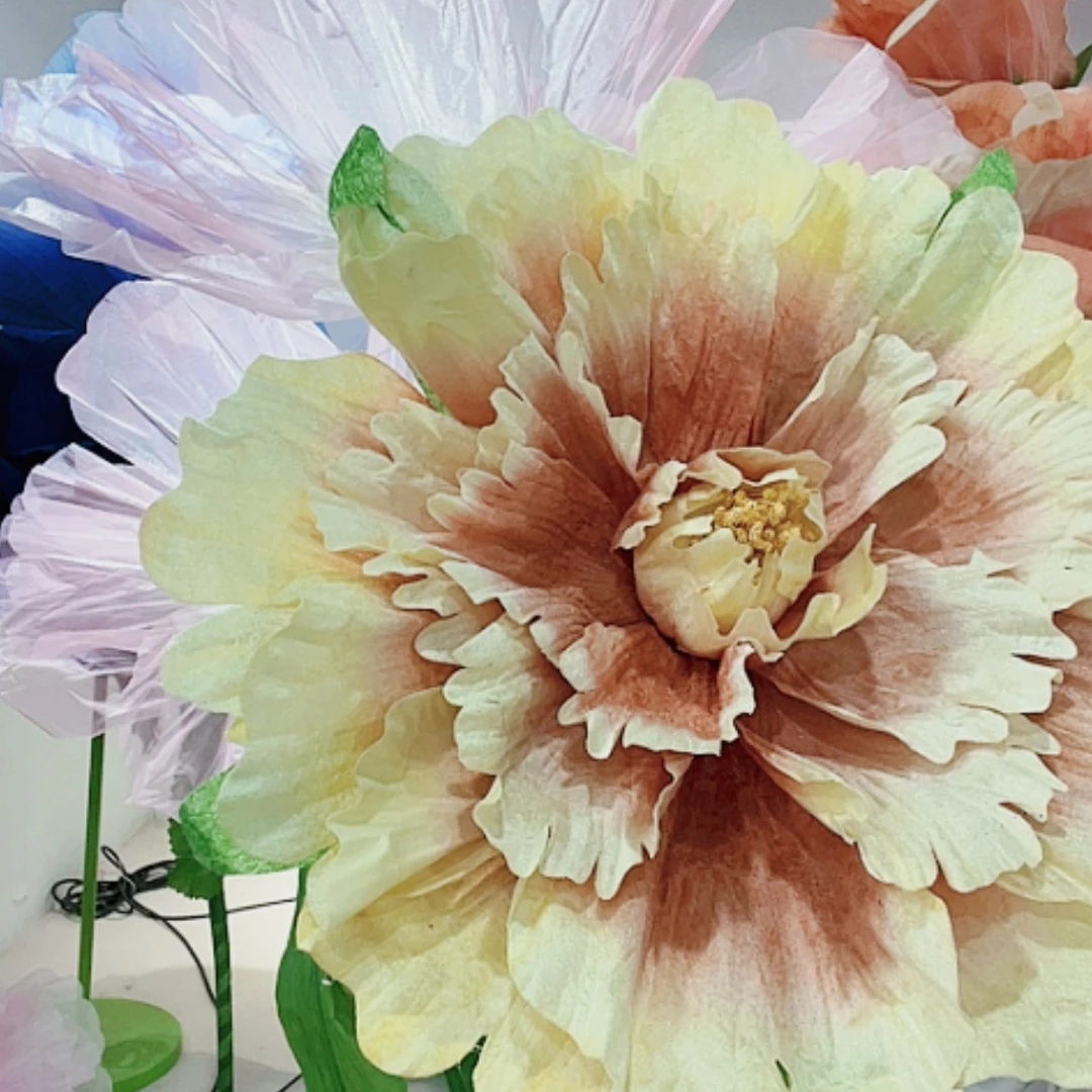 【闪购商品】单花头
