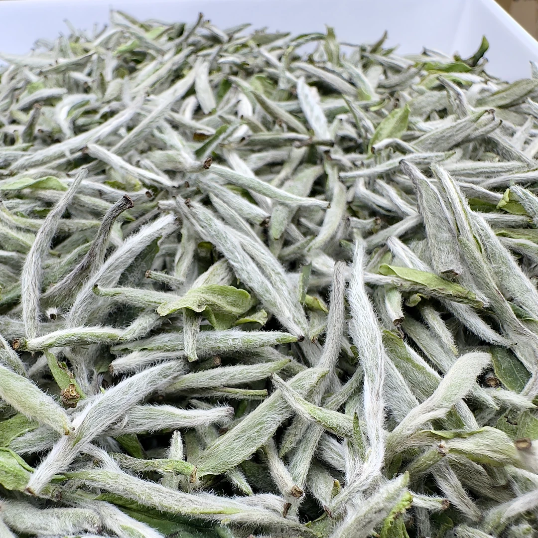 小众茶2025毫香蜜韵老树白毫银针正宗福鼎白茶高山明前特级茶叶