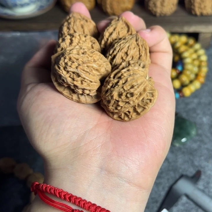 盘山公子帽老品种上色快3对