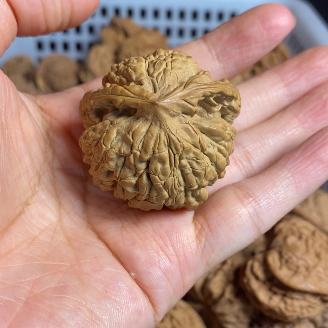 有***好文玩核桃把件尺寸
