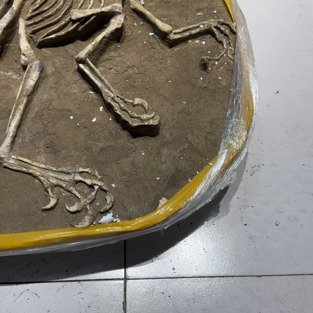 零***m迅猛龙摆件一个大