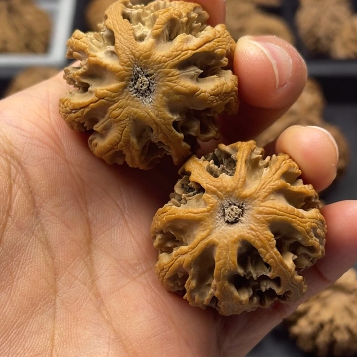 吊坠文玩核桃突突突突突突