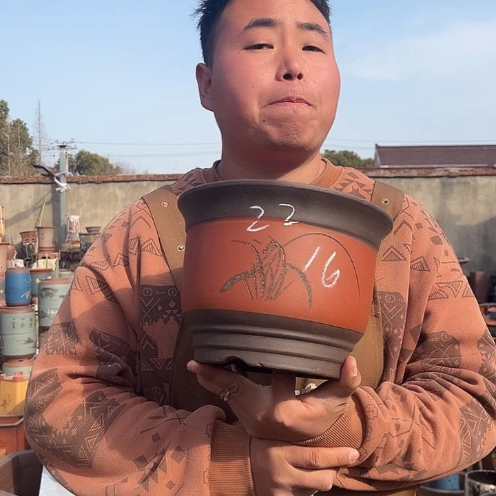 紫砂紫砂花盆盆栽