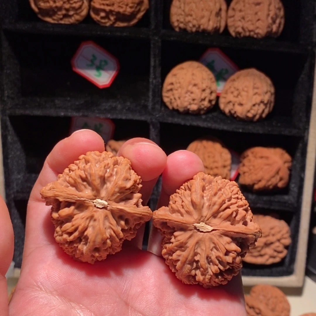 一***星文玩核桃把件满天星全品41