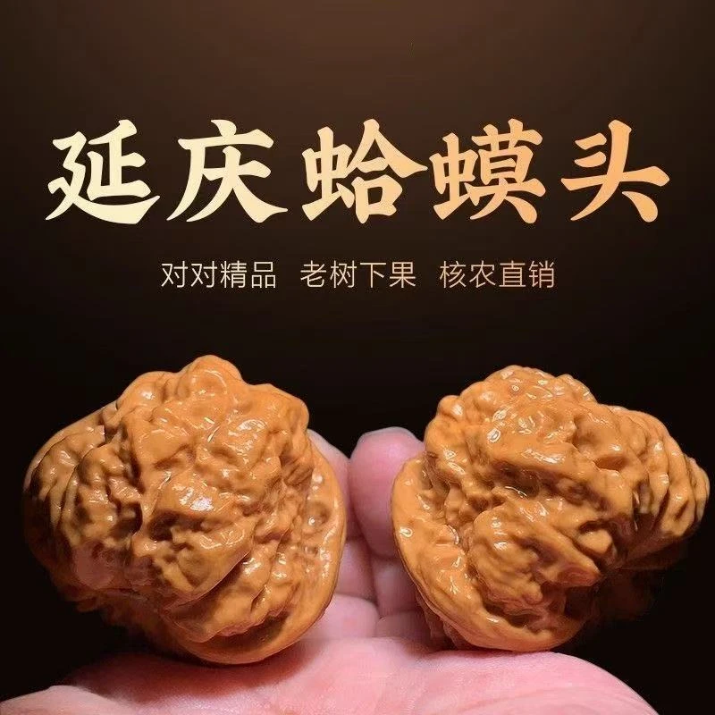 （新果头货）延庆-山地老树水晶皮肌肉蛙（蛤蟆头）